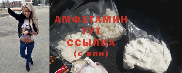 твердый Арсеньев