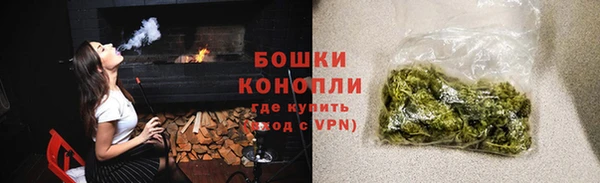 твердый Арсеньев