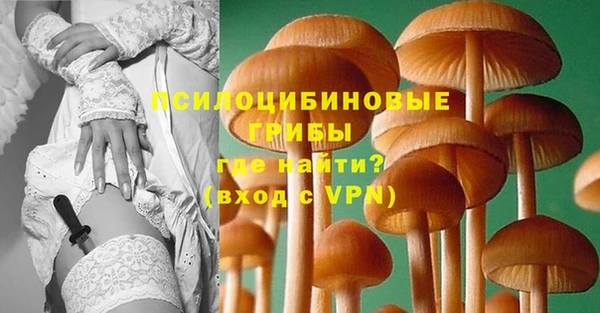 2c-b Аркадак