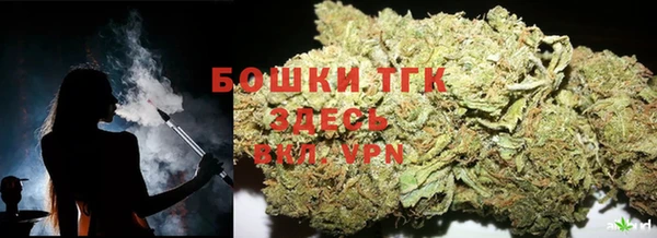 твердый Арсеньев
