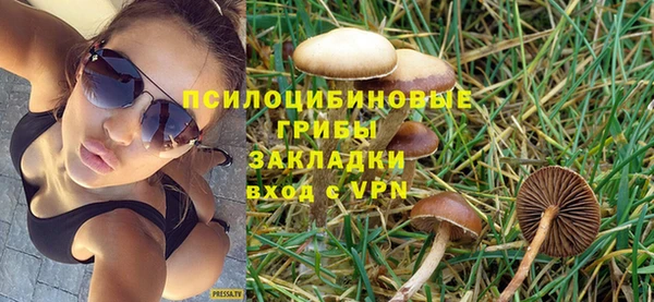 трава Армянск