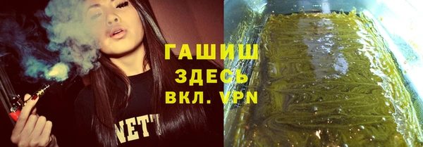 твердый Арсеньев