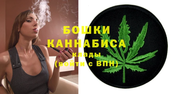 твердый Арсеньев