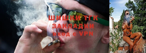 твердый Арсеньев